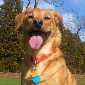 Meet your Posher, Richard